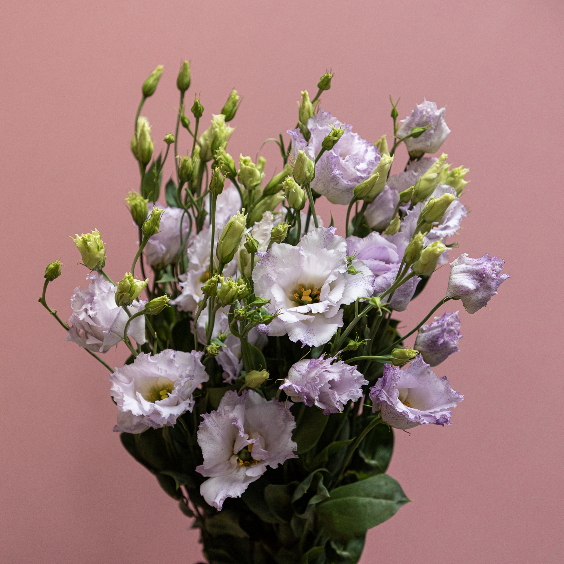 Februari_LR-32