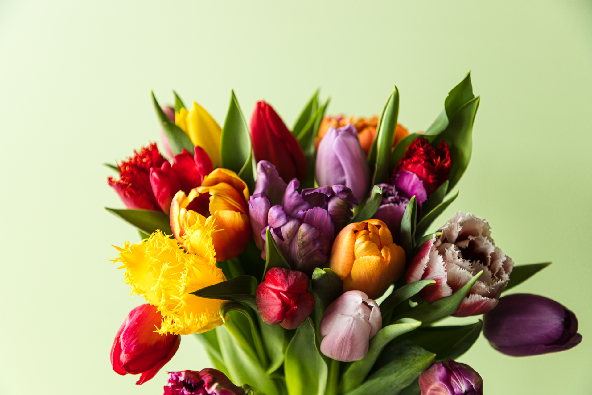 Product_Maart_LR-172 - Copy